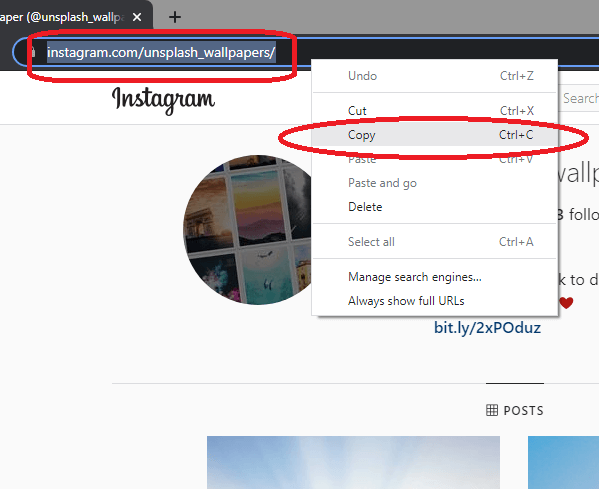 Copying Instagram profile url from address bar