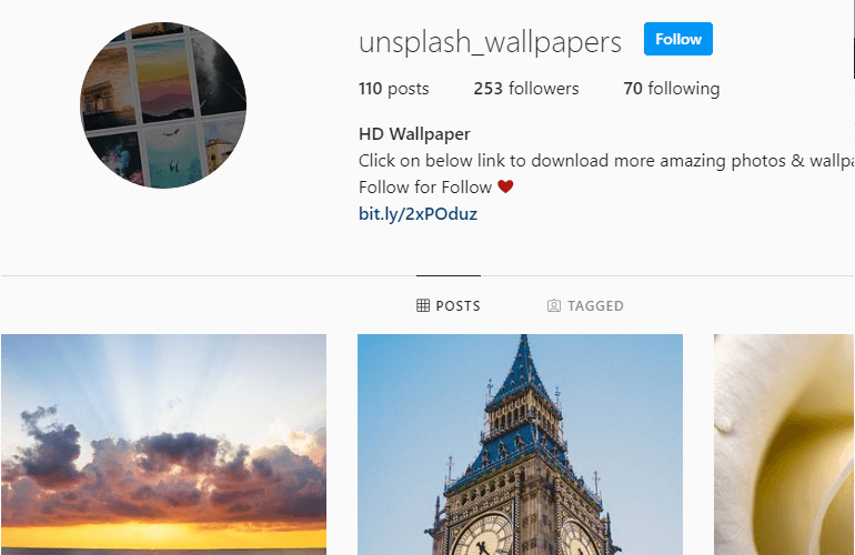 A sample Instagram profile page to be downloaded
