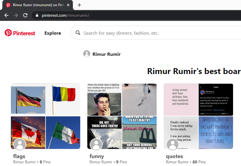 sample pinterest user profile opened in browser